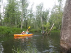IMG 4019